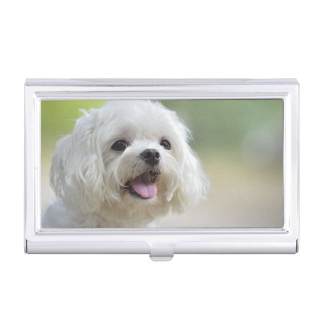 White Maltese Dog Case For Business Cards (Front)
