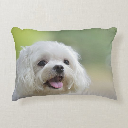 maltese pillow