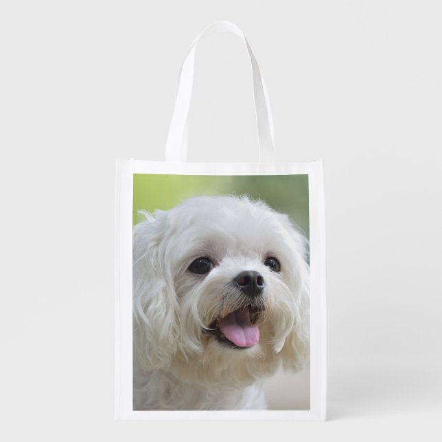 White Maltese Dog Grocery Bag (Front)