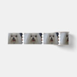 White Maltese Dog Grosgrain Ribbon