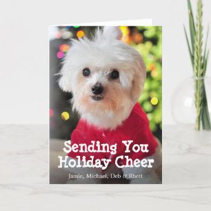 White Maltese dog in red Santa Claus suit. Holiday Card