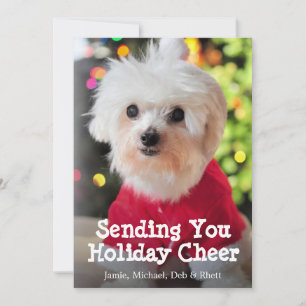 White Maltese dog in red Santa Claus suit. Holiday Card