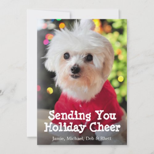 White Maltese dog in red Santa Claus suit Holiday Card