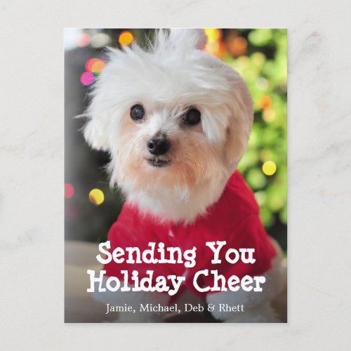White Maltese dog in red Santa Claus suit Holiday Postcard