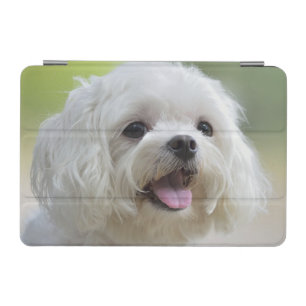 White Maltese Dog iPad Mini Cover