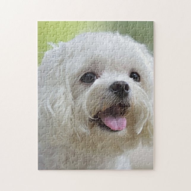White Maltese Dog Jigsaw Puzzle (Vertical)