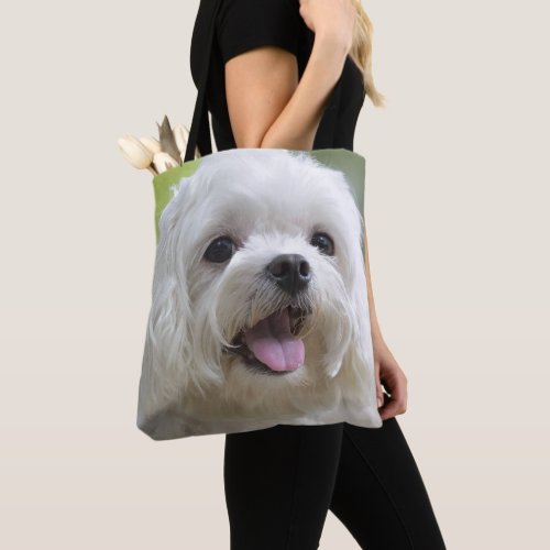 White Maltese Dog Tote Bag