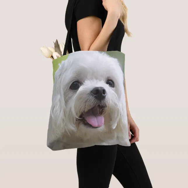 Sugar Maltese Puppy & Tote main image 0