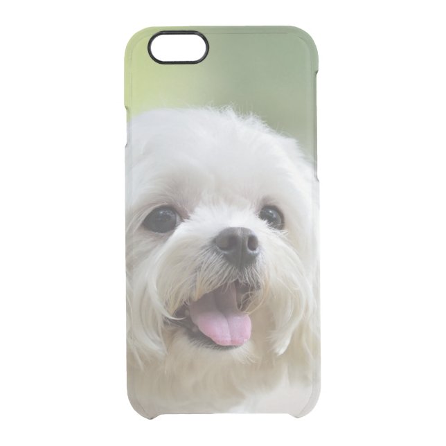 White Maltese Dog Uncommon iPhone Case (Back)