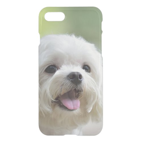 White Maltese Dog iPhone SE87 Case