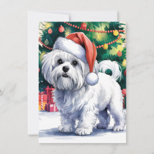 White Maltese Dog with Santa Hat Holiday Card