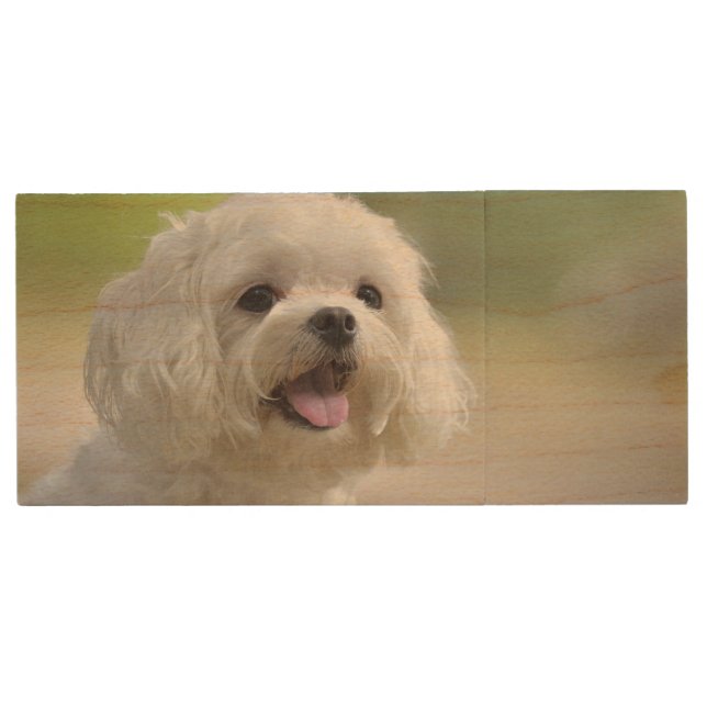 White Maltese Dog Wood USB Flash Drive (Front)
