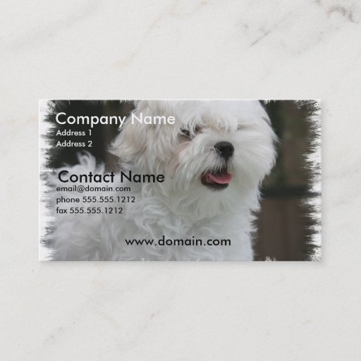Customizable White Maltese Puppy Dog Business Card