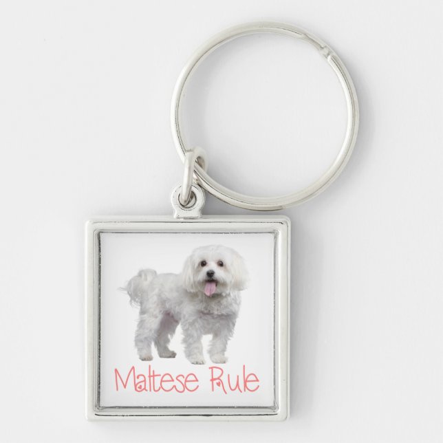 White Maltese Puppy Dog Custom Keychain (Front)