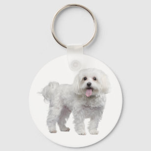 White Maltese Puppy Dog Custom Keychain