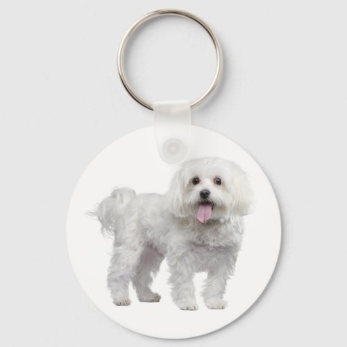 White Maltese Puppy Dog Custom Keychain