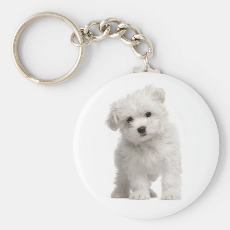 White Maltese Puppy Dog Love Custom Keychain | Zazzle