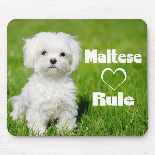 White Maltese Puppy Dog Love Mouse Pad (Front)