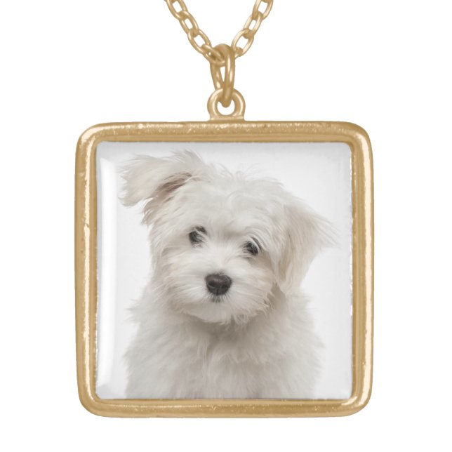 White Maltese Puppy Dog Love Pendant Necklace (Front)