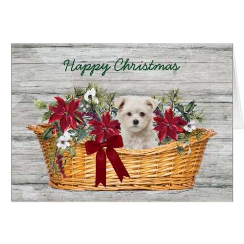 White Maltese Puppy in Basket Christmas Card