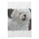 White Maltese Puppy Kitchen Towel