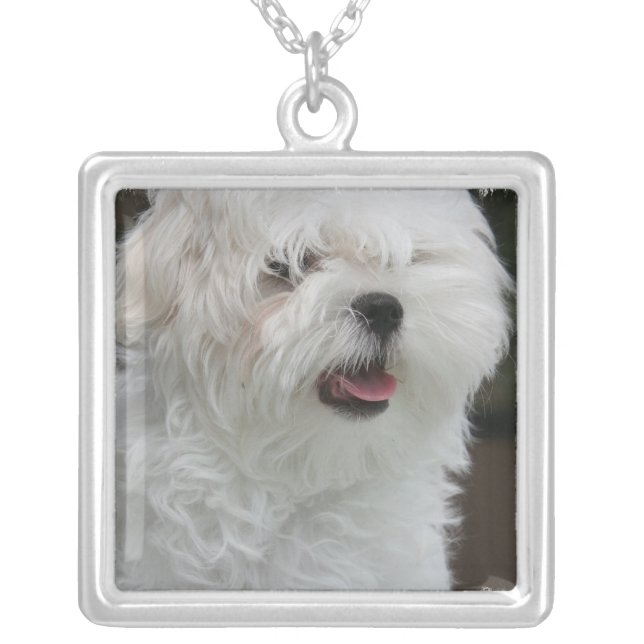 White Maltese Puppy Necklace (Front)