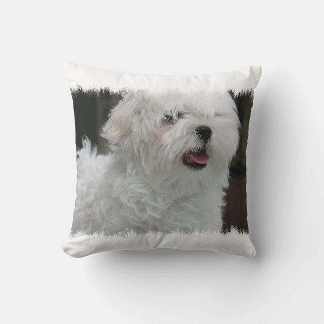 White Maltese Puppy Pillow (Front)