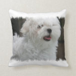 White Maltese Puppy Pillow