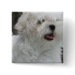 White Maltese Puppy Square Pin