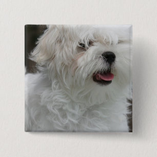 White Maltese Puppy Square Pin
