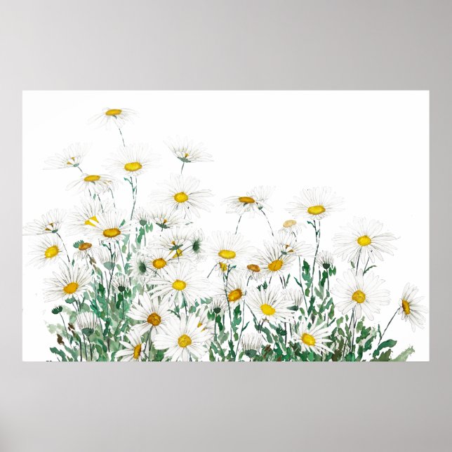 white margaret daisy horizontal watercolor  poster (Front)