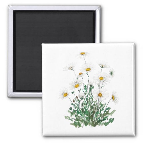 white Margaret daisy watercolor Magnet