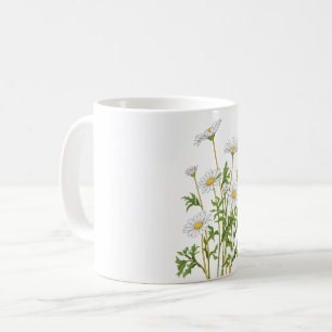 White Marguerite Daisy Coffee Mug