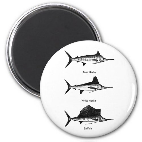 White Marlin _ Blue Marlin _ Sailfish Logo Magnet