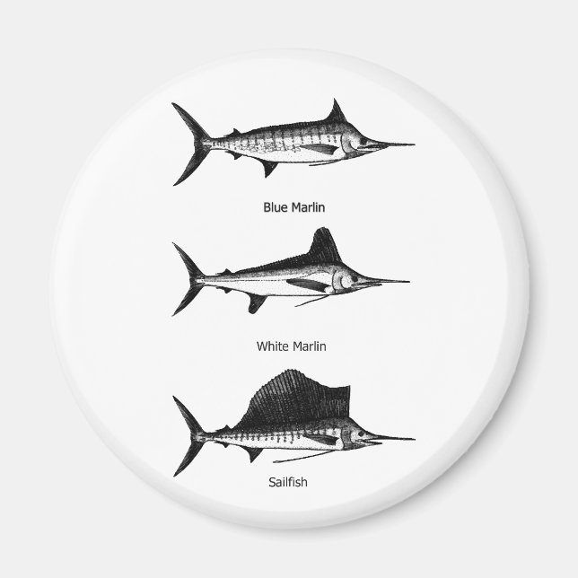White Marlin - Blue Marlin - Sailfish Logo Magnet (Front)