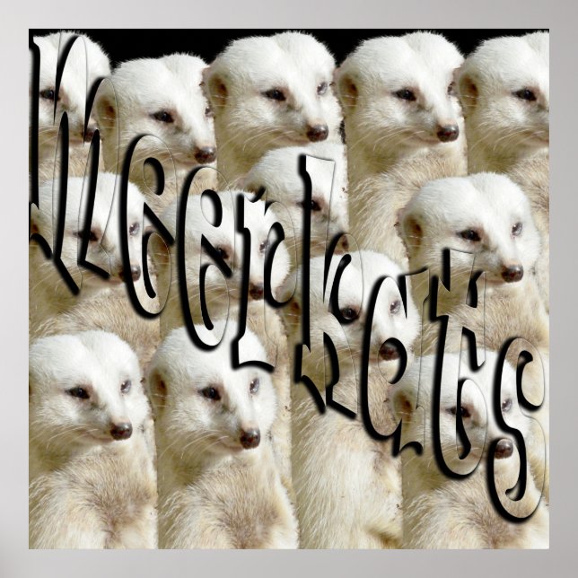 White Meerkat Army And Logo, Poster (Front)