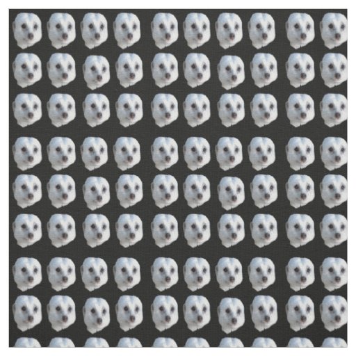 White Meerkat Faces On Black, Fabric