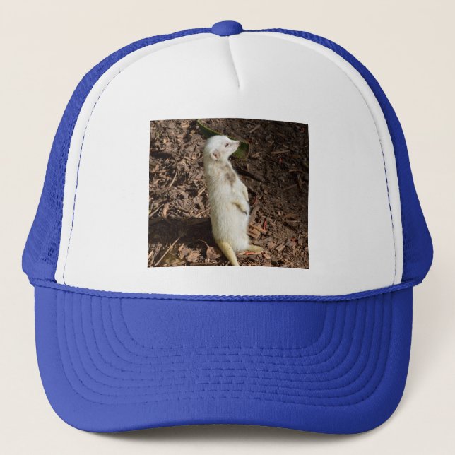 White Meerkat Standing,  Trucker Hat (Front)