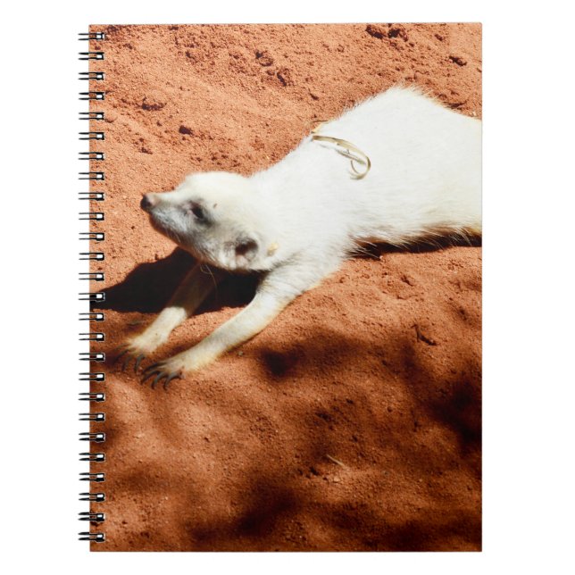 White Meerkat Stretching, Notebook (Front)