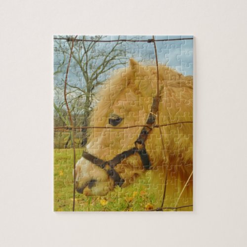 White miniature Horse  light blue Jigsaw Puzzle