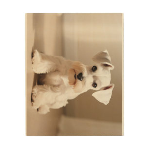White Miniature Schnauzer Wood Wall Art