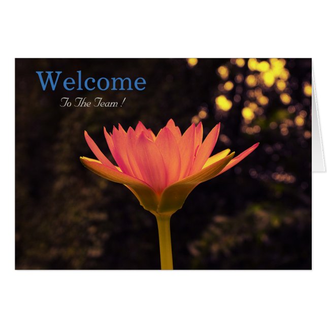 White Minimal Lotus Welcome Wishing (Front Horizontal)