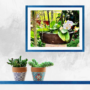White Moon Orchid Mexican Garden Poster