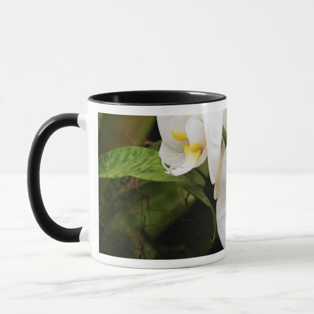 White Moon Orchid (Phalaenopsis Aphrodite) Mug (Left)