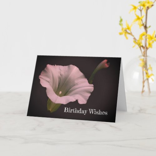 White Morning Glory Flower Birthday  Card