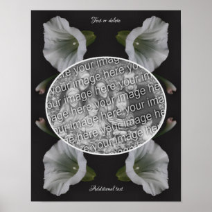 White Morning Glory Flower Create Your Own Photo Poster