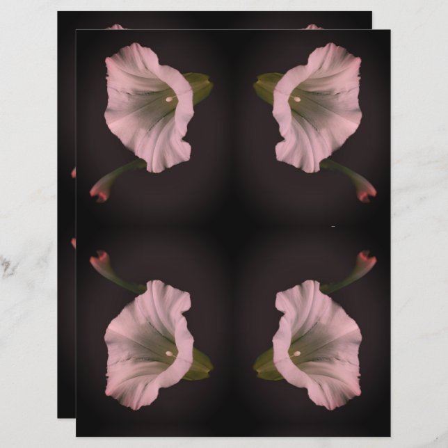 White Morning Glory Flower Scrapbook Paper (Front/Back)
