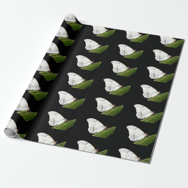 White Morpho butterfly on leaf Wrapping Paper (Unrolled)