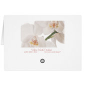 White Moth Orchid Cards (Back Horizontal)