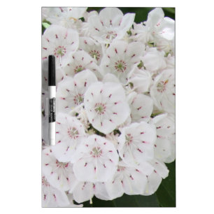 White Mountain Laurel Floral Dry Erase Board
